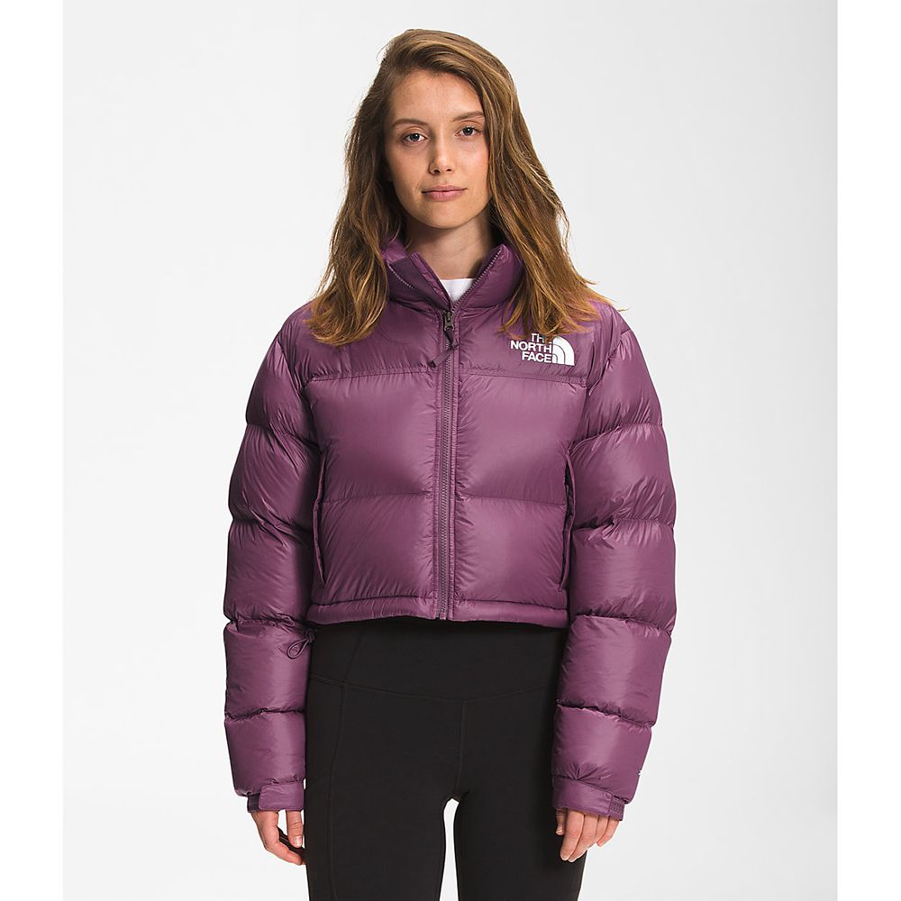 The North Face Nuptse Jacket Womens Australia - The North Face Short Purple (KGQ-375629)